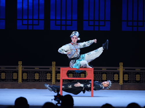 冰雪铸金 暖心宠客与艺术演绎共筑旅游新标杆